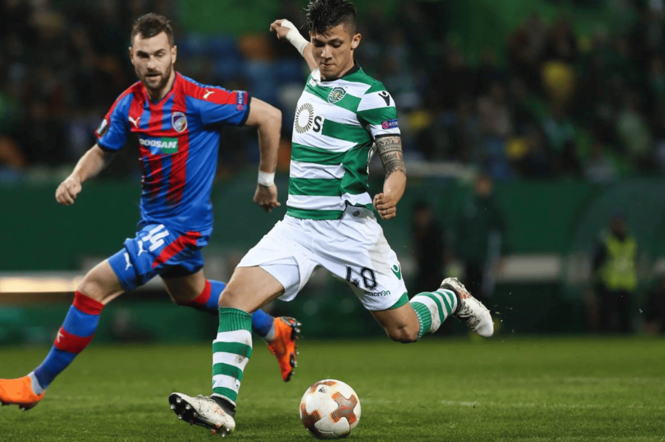 关于赛前密尔沃基雄鹿备战葡超，战术微调细节曝光，悬念犹存，球队文化再被提及的信息